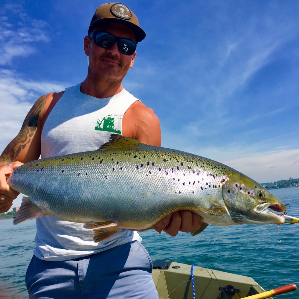 Meet your Posher, Dan